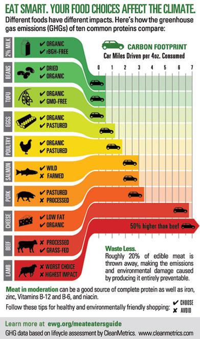 Climate Change and Diet Carbon Footprint foot print of meat cows beef sheep lamb chicken fish dairy pork cheese versus vegetarian vegan vegetables plant food foods is are better for good health environment planet sustainable resources