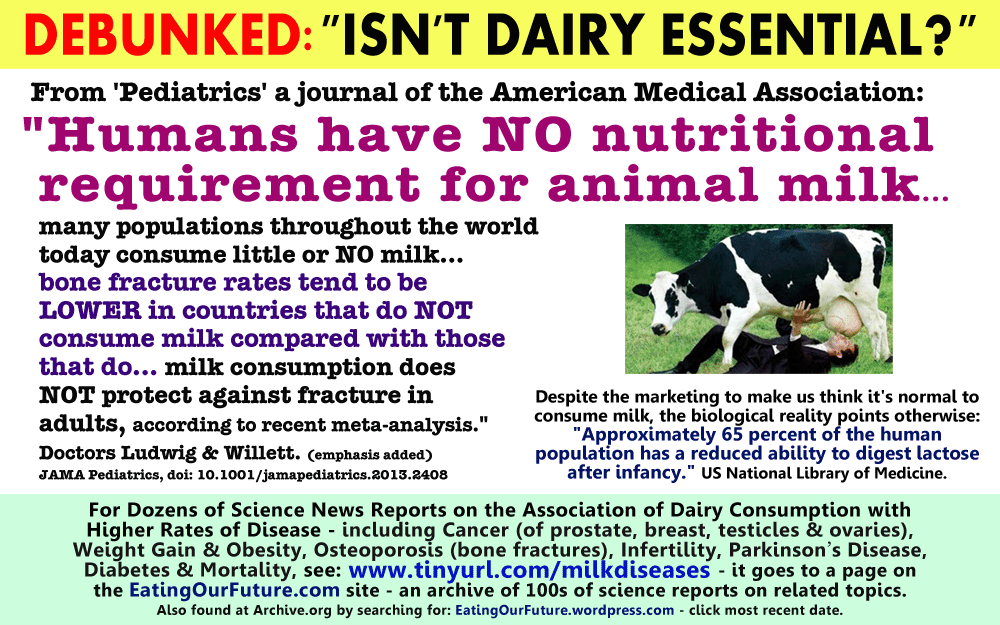 Science Study Report Health Benefits Pros Cons For Against Drink Consume Dairy Cow Cow's Milk Calcium Consumption Not Good Bad Healthy Causes More Less Increases Decreases Disease Risks Rates Osteoporosis Bone Fractures Facts Debunked